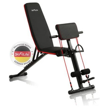 DH FitLife Bizepsbank