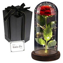 FAYODO Ewige Rose