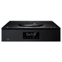 Technics SA-C100EG-K