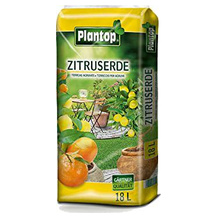 Plantop Zitruserde