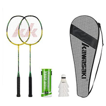 Generic Badminton-Set