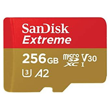 SanDisk SDSQXAV-256G-GN6MA