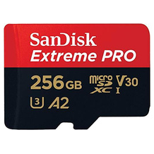 SanDisk SDSQXCD-256G-GN6MA