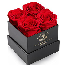 Impouo Ewige Rose