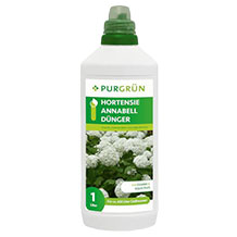 Purgrün Hortensie-Anabell-Dünger