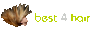 Best4Hair