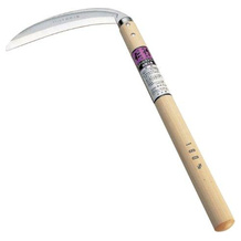 Sichel
