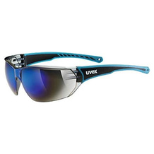 Ski-Sonnenbrille