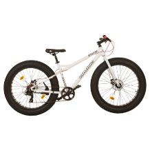 Fatbike