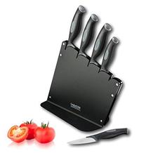 Sabatier-Messerblock