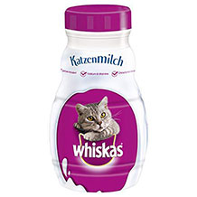 Katzenmilch