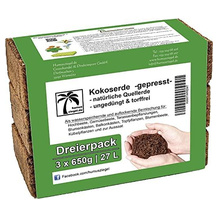 Anzuchterde