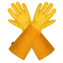 Rosenhandschuh