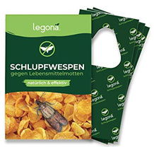 Lebensmittelmotten-Schlupfwespe