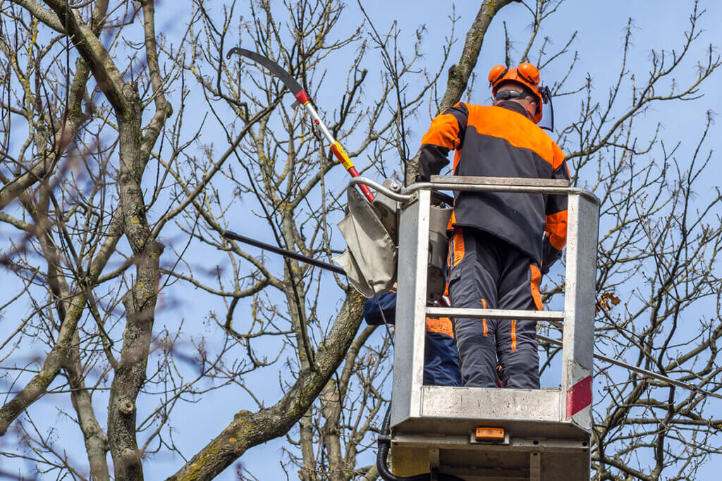Mann in Korb eines Teleskop-Mastes mit Teleskop-SĂ€ge