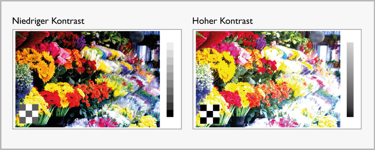 Vergleich Kontrast