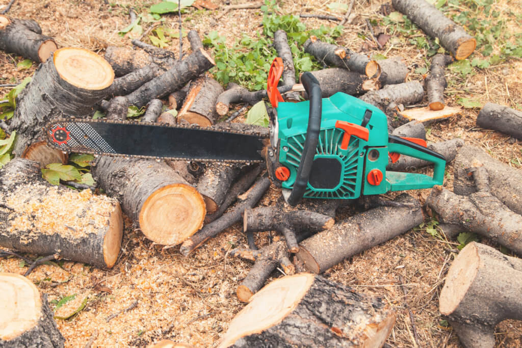 Kettensäge zwischen geschnittenem Holz