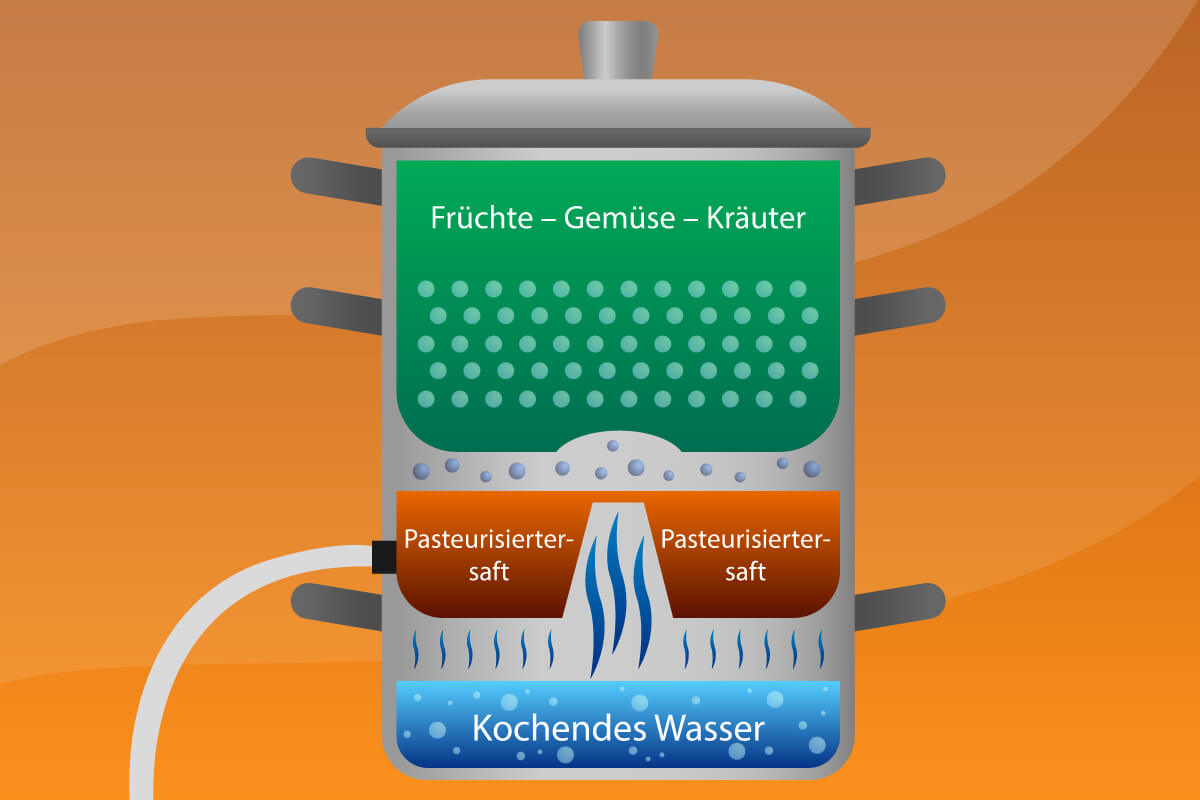 funktionsweise eines dampfentsafters