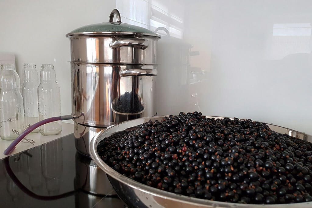 schwarze johannisbeeren in einer schussel neben einem dampfentsafter