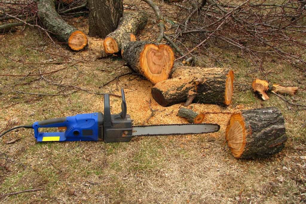 Kettenäge neben geschnittenem Baumstamm