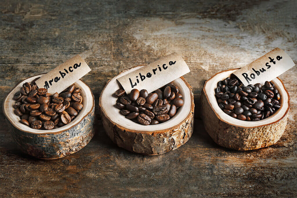 arabica, robusta und lieberica kaffeebohnen in holzstaemmen