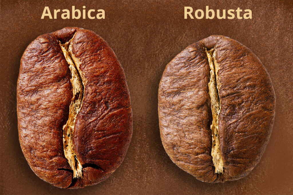 zwei kaffeebohnen robusta uns arabica
