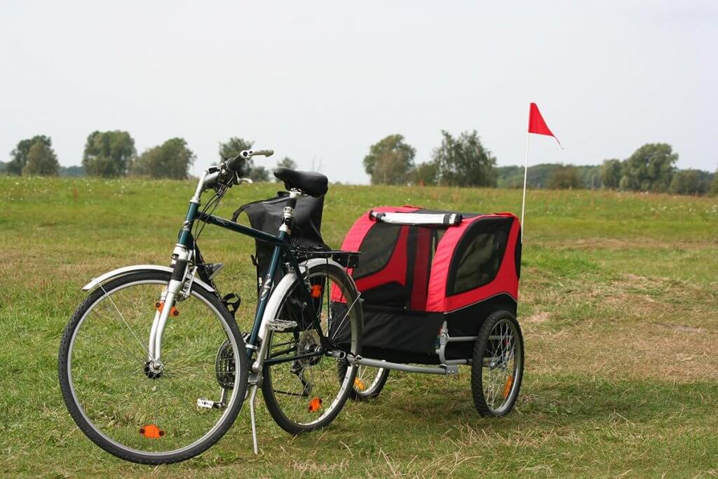 Anhaenger am Fahrrad auf der Wiese