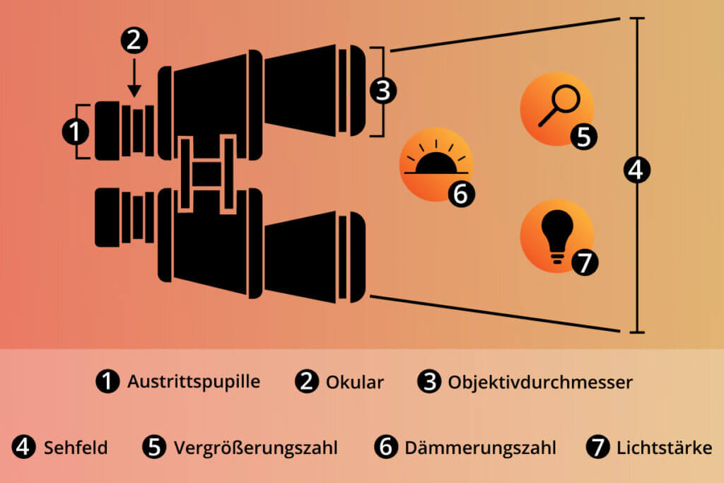 Fernglas Aufbau