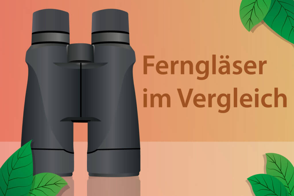 Fernglaeser im Vergleich