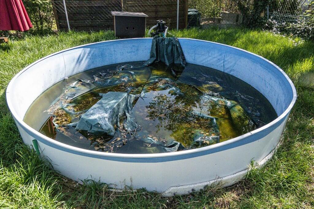 pool gartenpool dreckiger pool poolplane