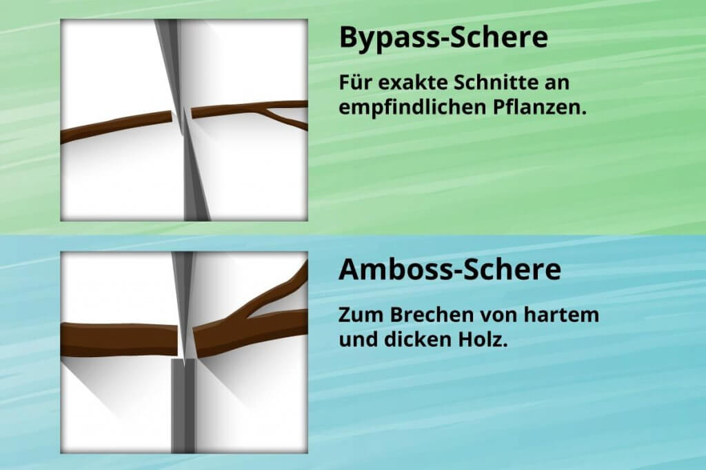 Grafik Bypass-Schere und Amboss-Schere