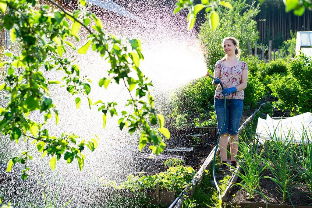 Gartenschlauch im Einsatz