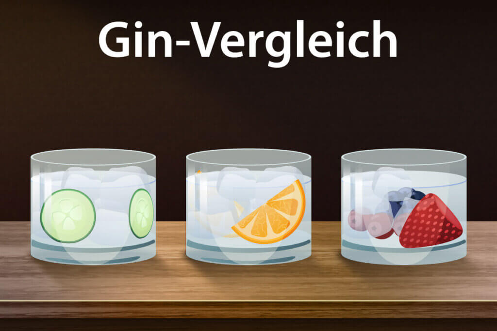 Die besten Gins im Vergleich