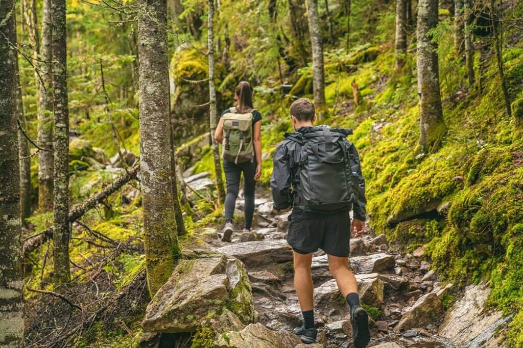 Mit GPS-Geraet durch Wald