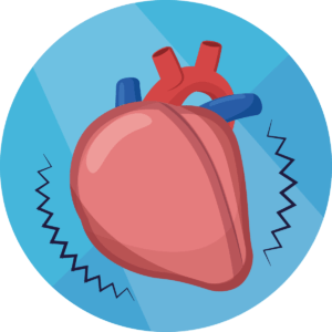 Herz- und Kreislauferkrankungen
