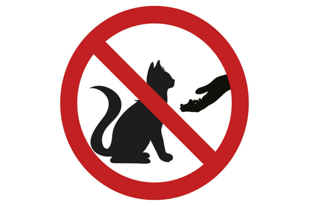 Katzen füttern Verbotsschild