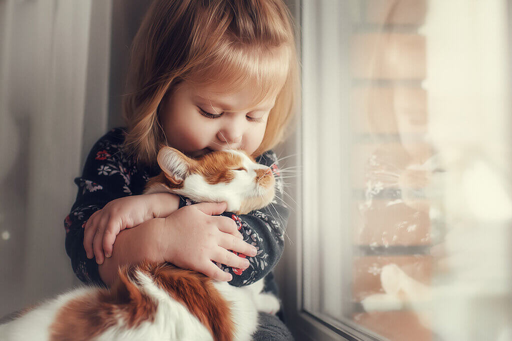 kleines Mädhcne mit Katze am Fenster