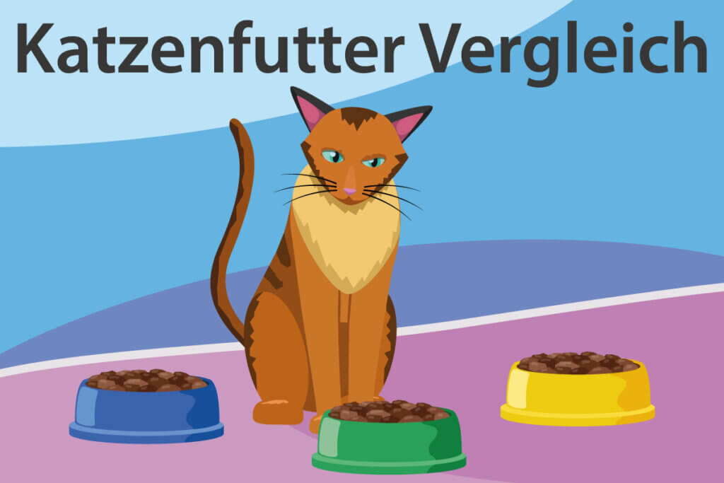 Die besten Katzenfutter im Vergleich