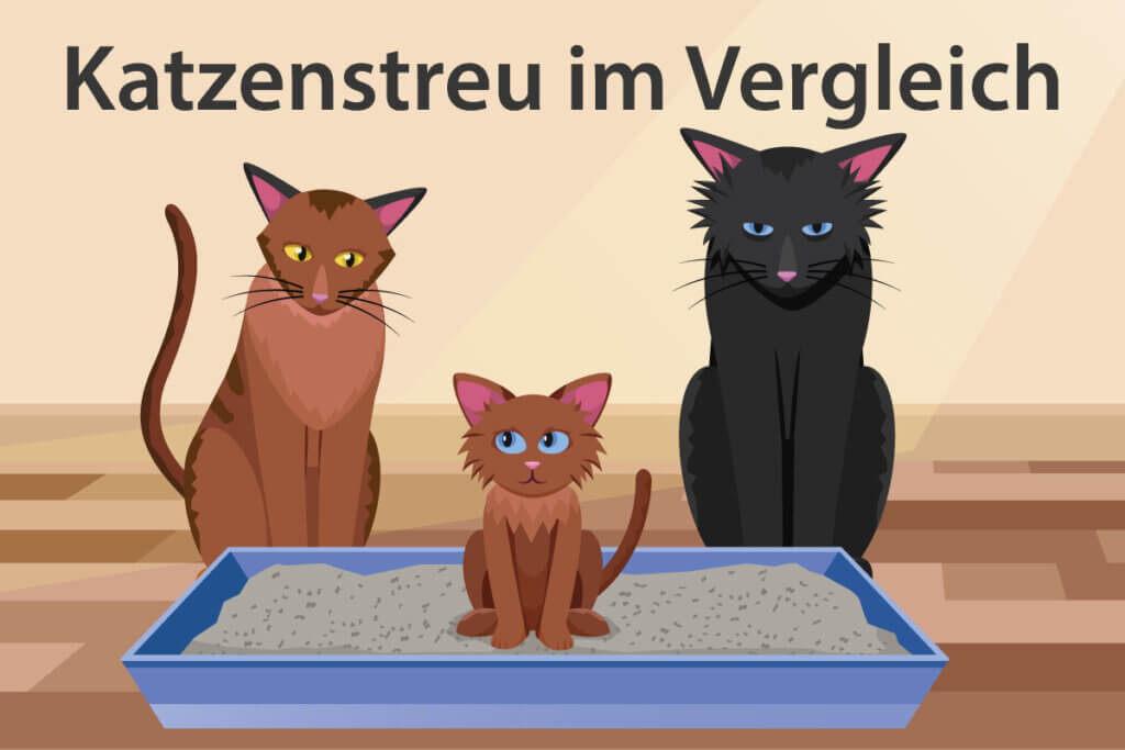 Die besten Katzenstreu im Vergleich