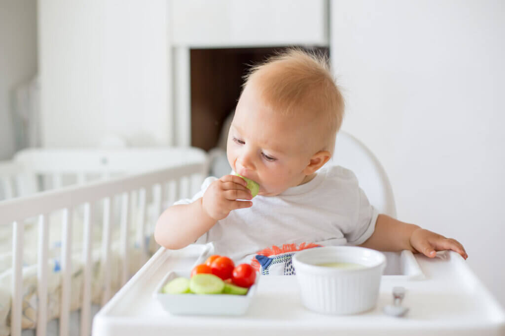 Baby in Hochstuhl isst Gurkenscheibe
