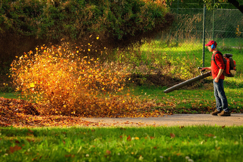 Herbstlaub wird von Laubbläser aufgewirbelt