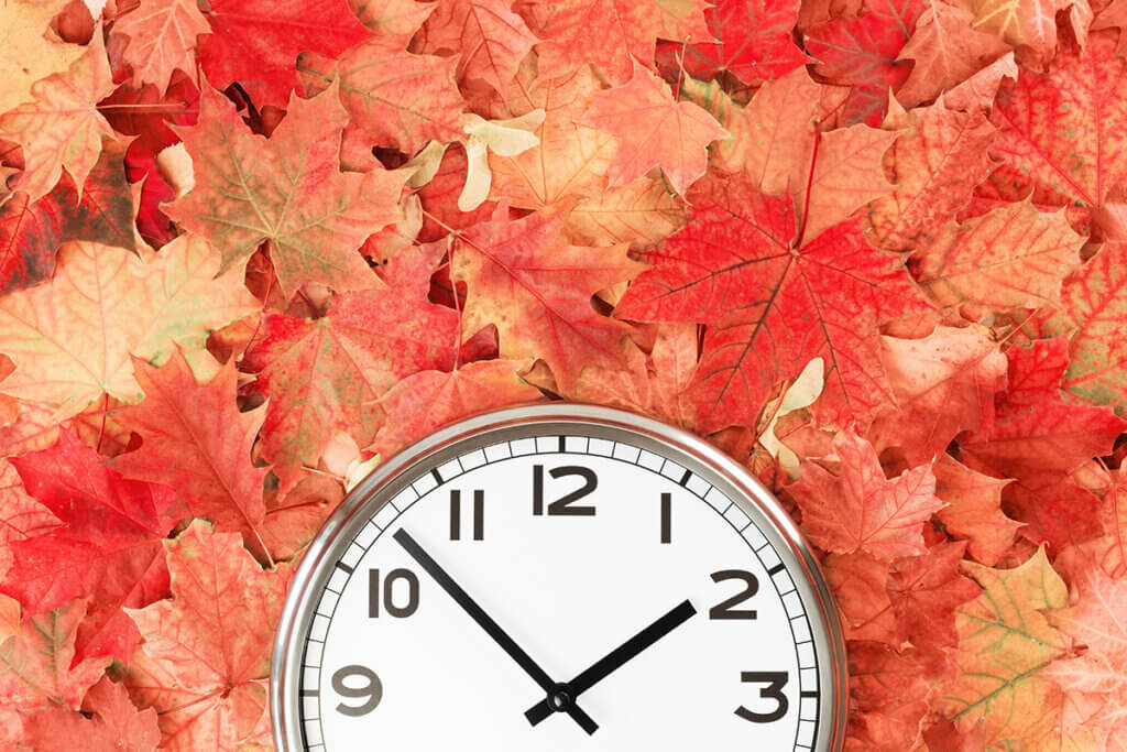 Uhr liegt auf Herbstlaub