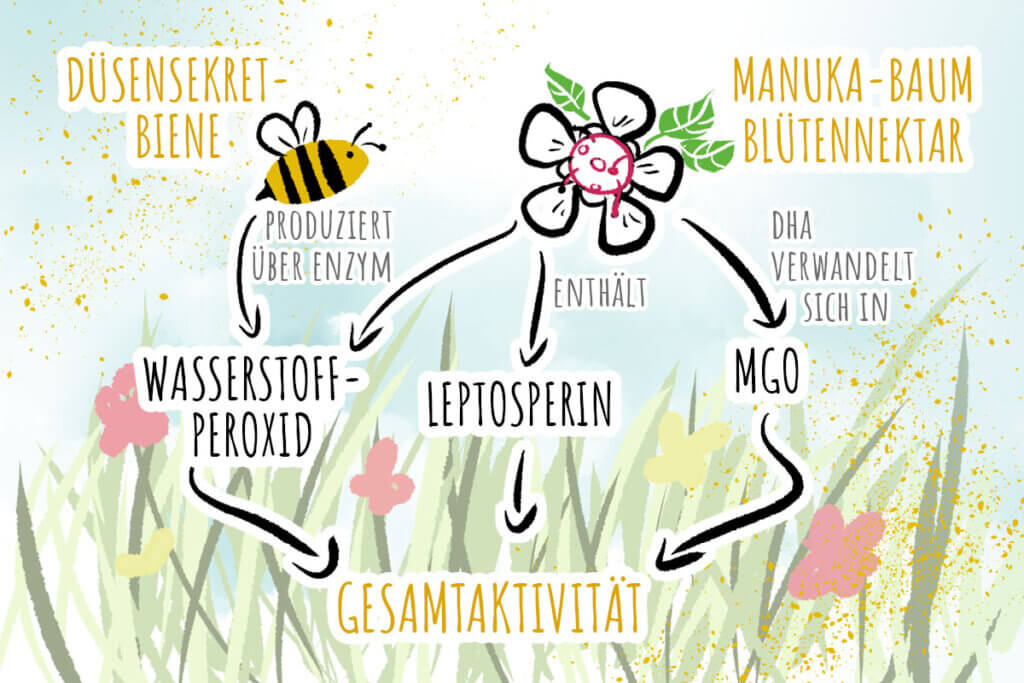 TA-Faktor Manuka-Honig