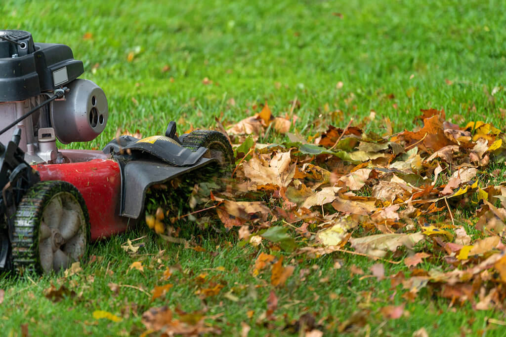 Mulchmaeher faehrt auf Laub