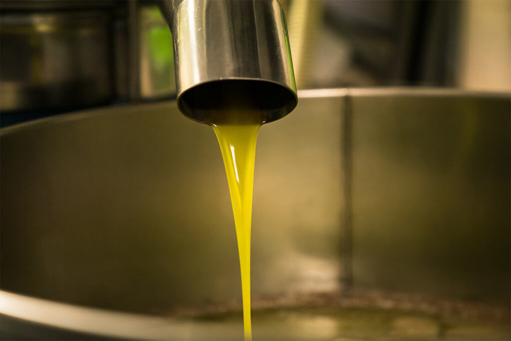 Prozess zur Olivenöl Herstellung