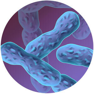 grafisches element bacillus_coagulans