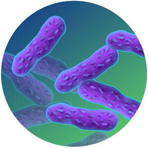 grafisches element des bacillus subtilis