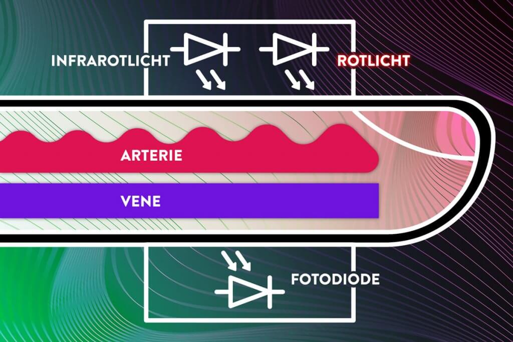 Funktionsweise und Aufbau eines Pulsoximeters