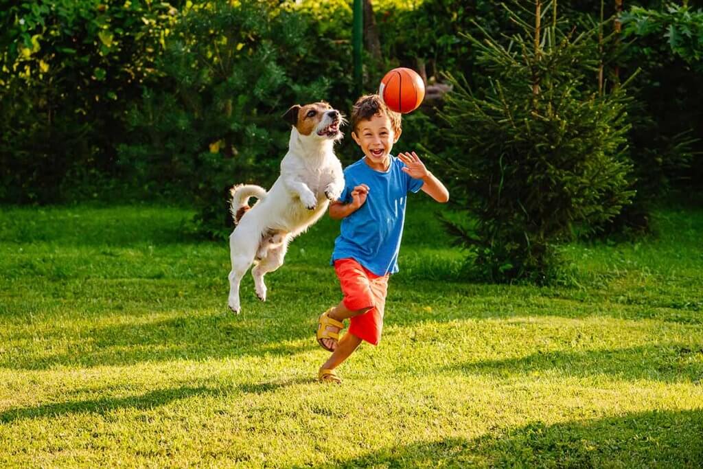 kind und hund spielen auf spiel- und sportrasen