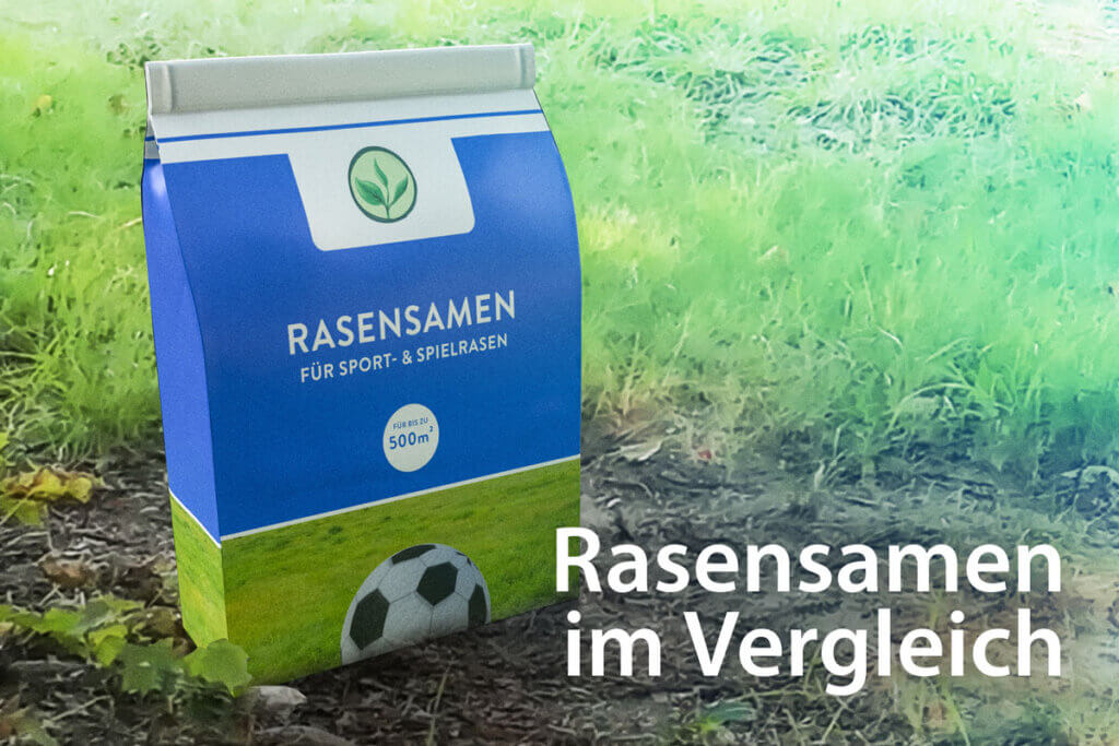 Rasensamen im Vergleich